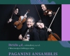 Vilniaus festivalis. Paganini ansamblis iš Vienos